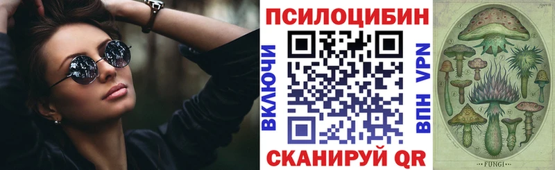 KRAKEN ТОР  Сибай  Псилоцибиновые грибы GOLDEN TEACHER 
